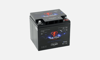 LiFePO4 - 60Ah - 12,8V - Batería