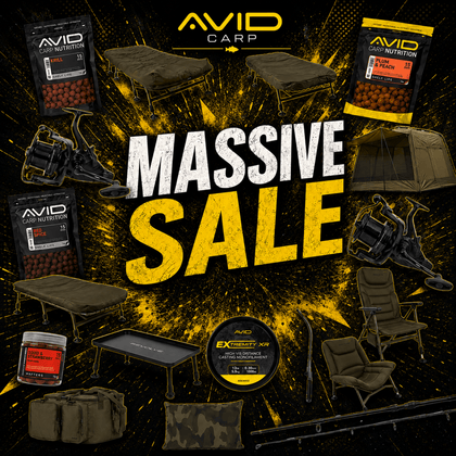Oferta especial Avid