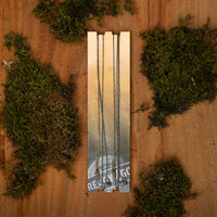 R2G Heli SR Leader 90/ Combi Rig Shot 0,3g