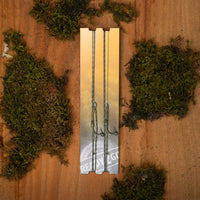 Completo - R2G Inline SR - Leader 90cm - Rig con plomos en el anzuelo