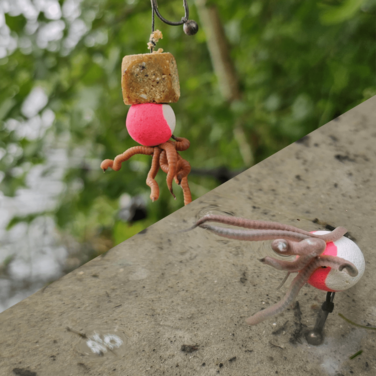 CC Solution Boilies Real Ones Earthworms – Levensecht imitatie - aas - KarperCentrale