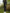 FOX Womans - Black Lined Leggings - KarperCentrale