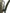 HOLDCarp Rechargeable Camping Shower - KarperCentrale