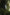 Korda Mindset - Patch Hoodie - Heather Grey - KarperCentrale
