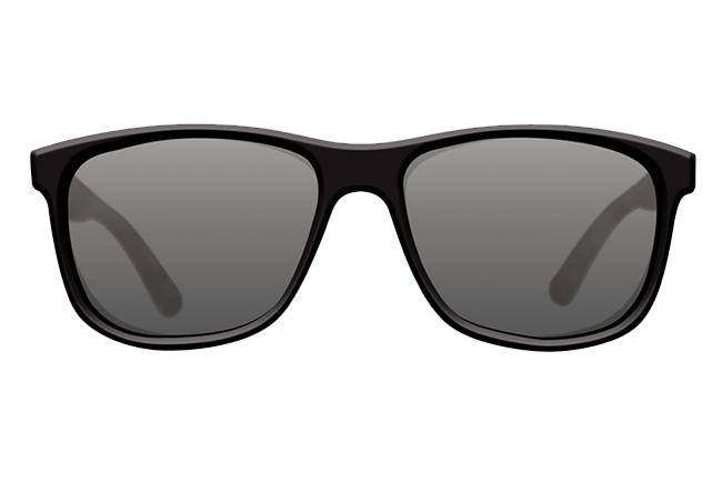 Sunglasses Classics Matt Black Shell