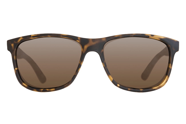Gafas de sol Classics Matt Tortoise