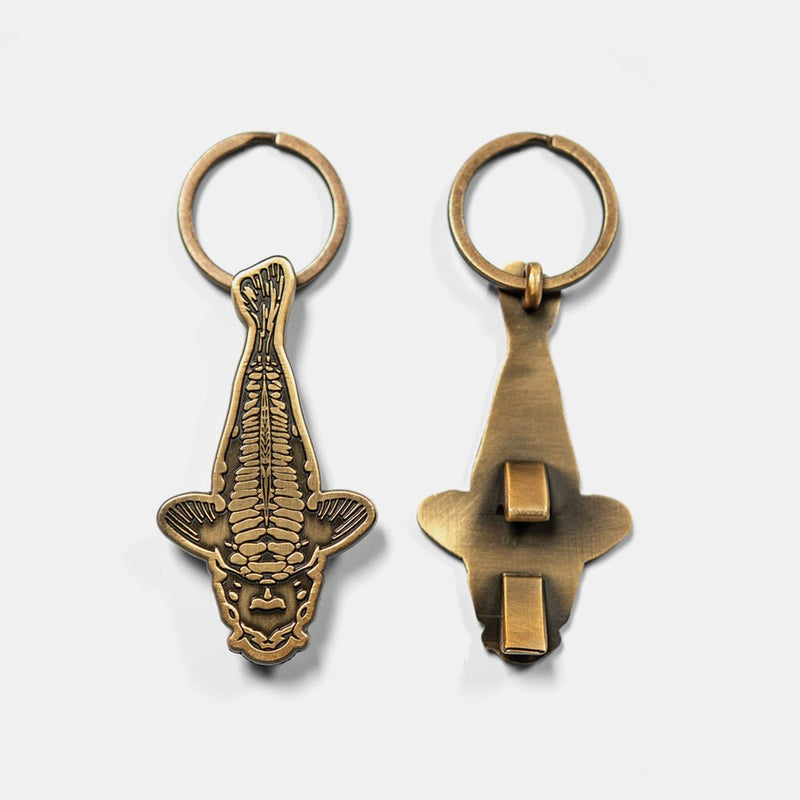 Abrebotellas - Luna Nueva