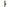 Nash Tackle Scope OPS - Utility 1 Rod Skin - 6FT - KarperCentrale