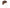 PB Products Slouchy Hat - KarperCentrale