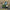 RidgeMonkey Compact Toilet - Cozee - KarperCentrale